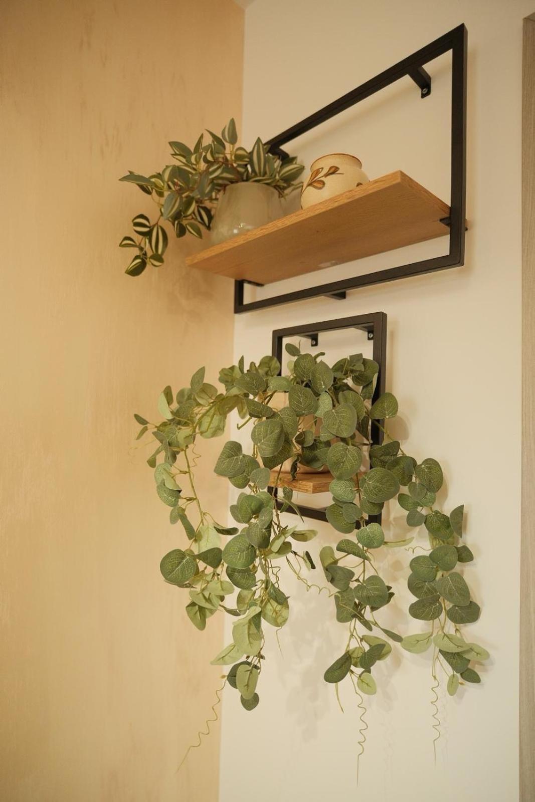 Green Studio Тыргу-Нямц Экстерьер фото